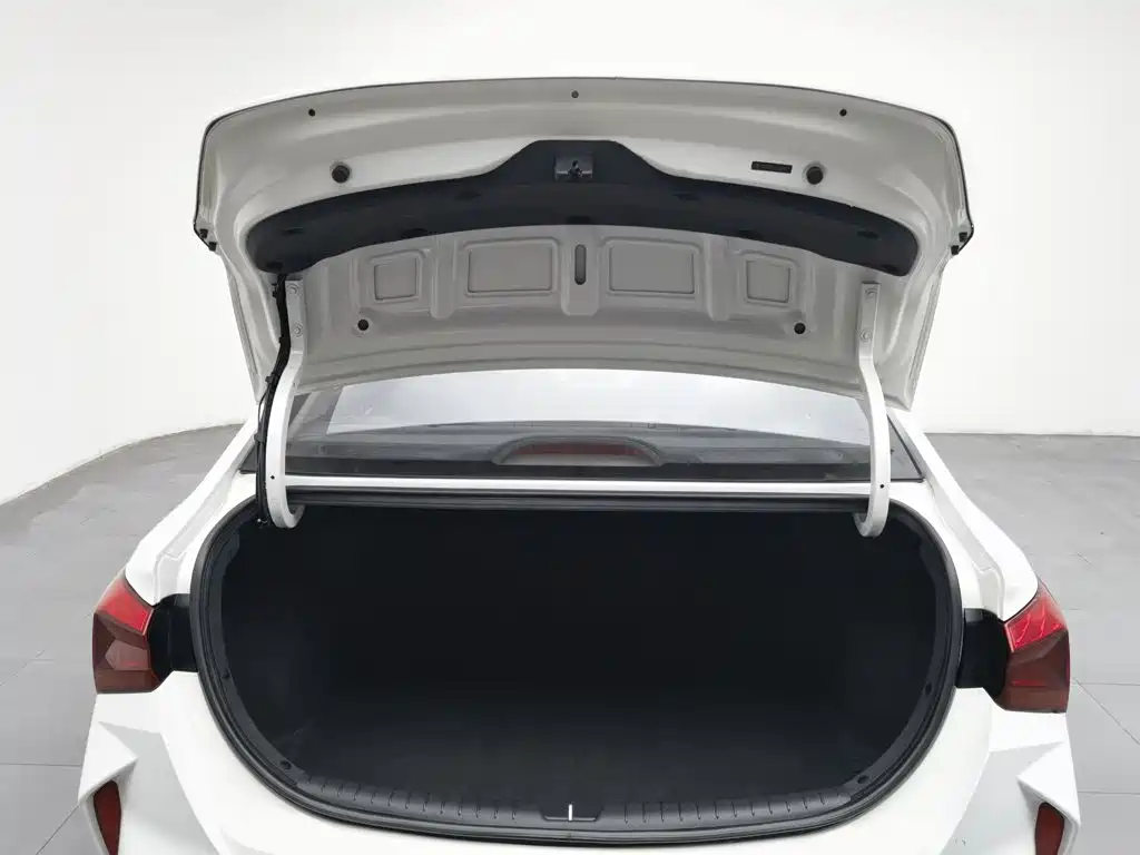 Hyundai Verna