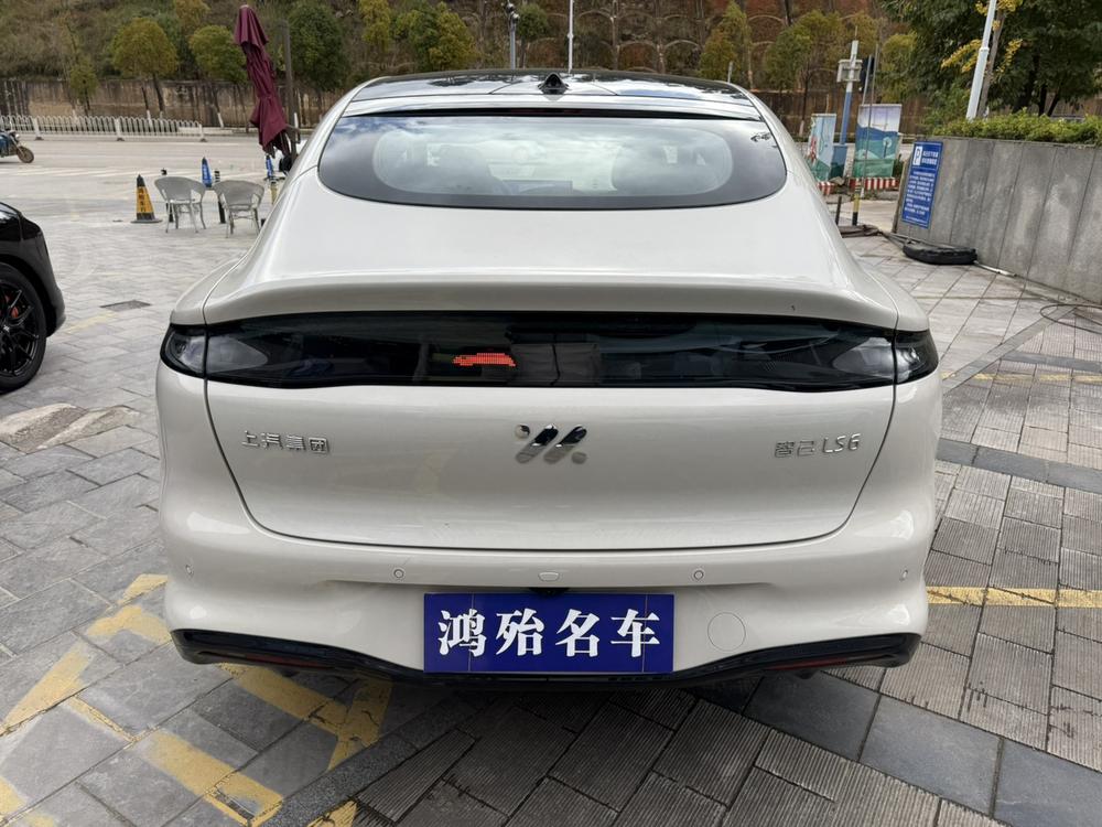 IM Motors IM LS6