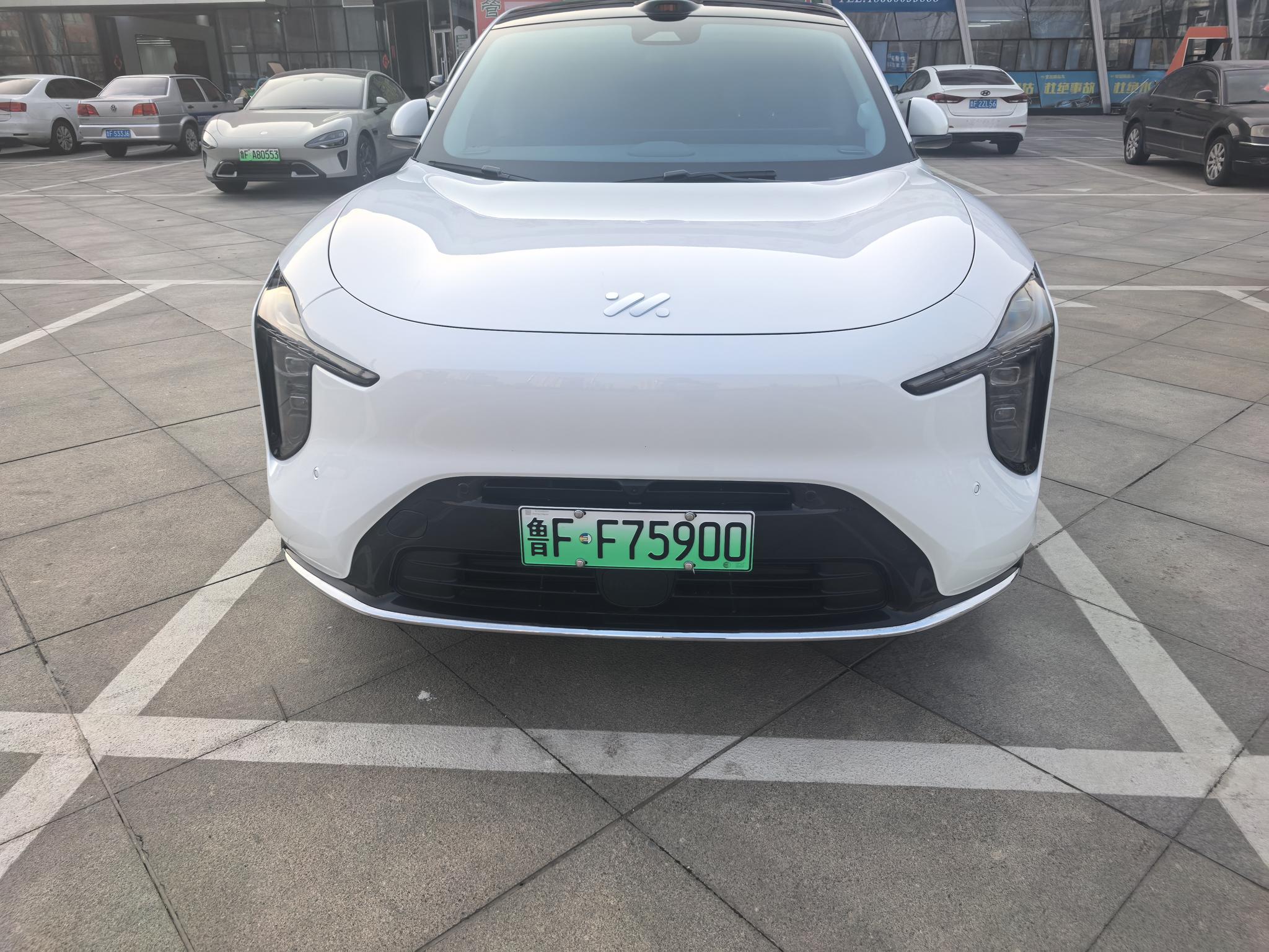 IM Motors IM LS6