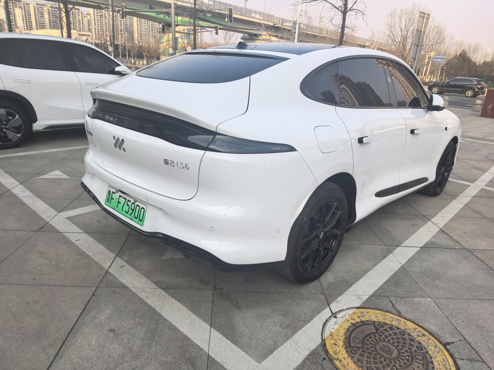 IM Motors IM LS6