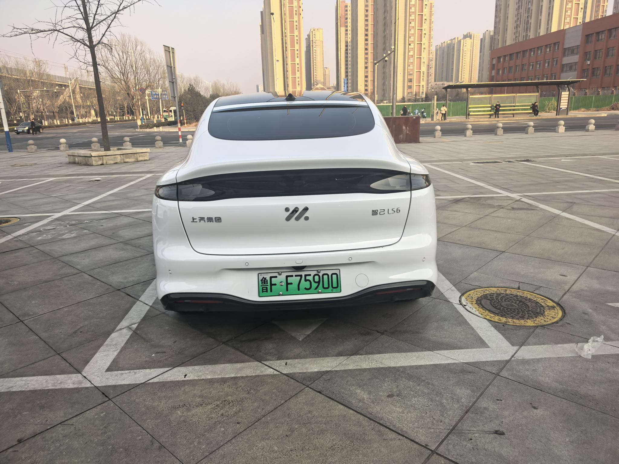 IM Motors IM LS6
