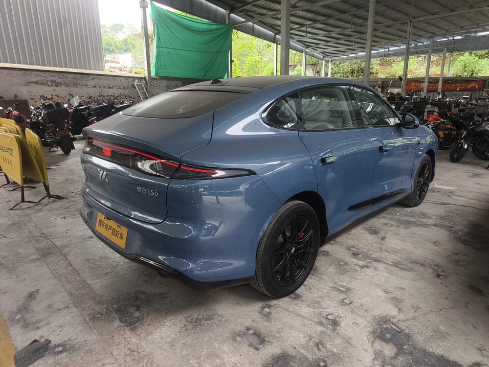 IM Motors IM LS6