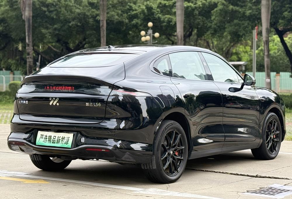 IM Motors IM LS6