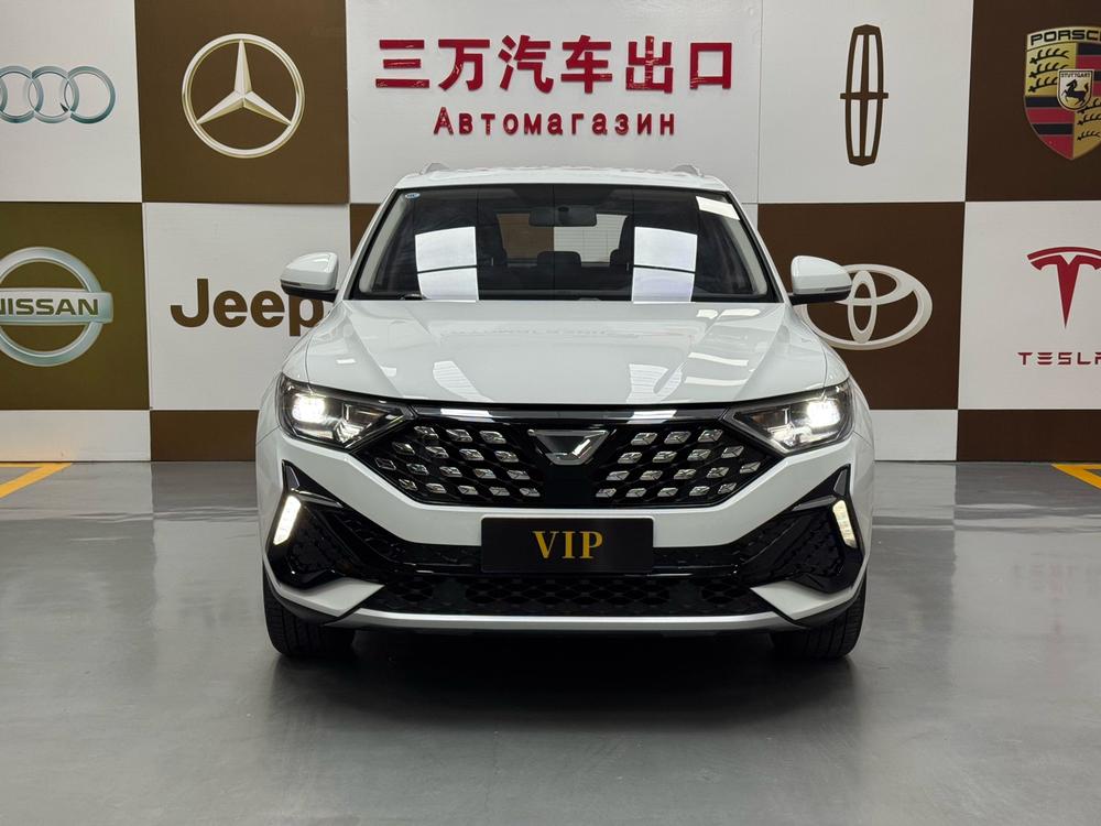 Jetta Jetta VS5