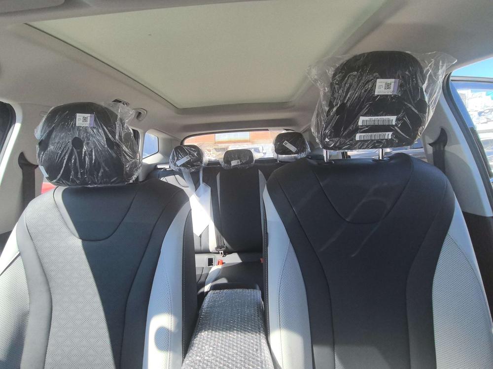 Jetta Jetta VS8