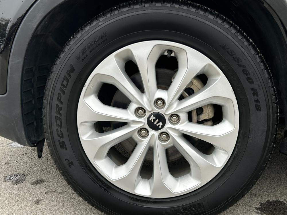Kia Sorento