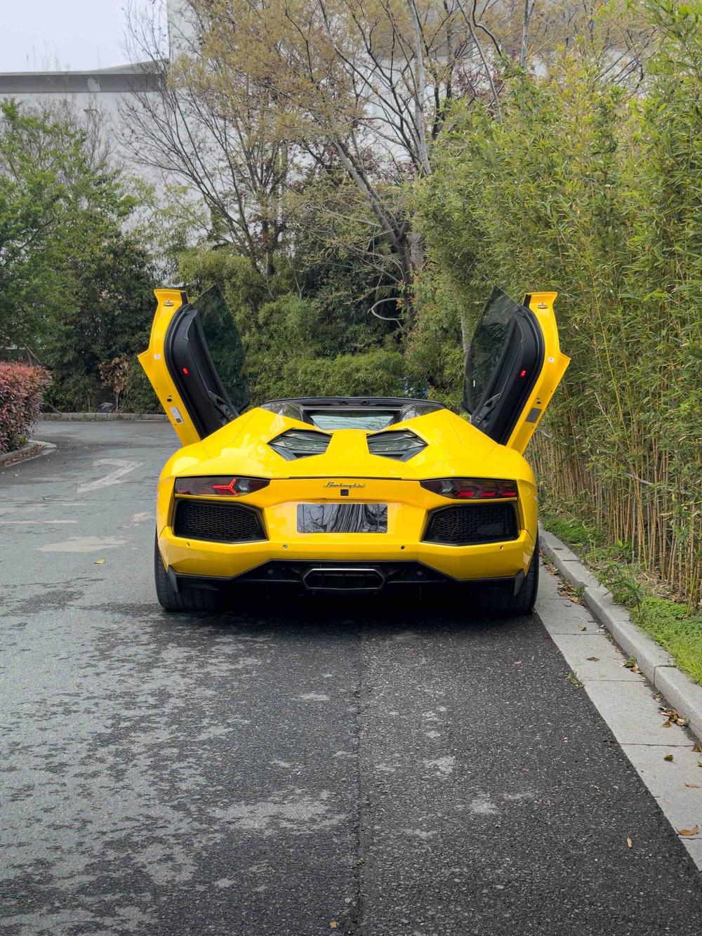Lamborghini Aventador