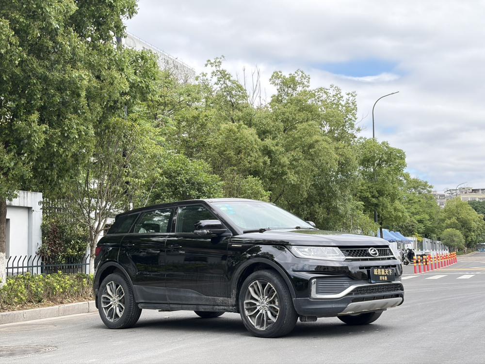 Landwind Landwind X7