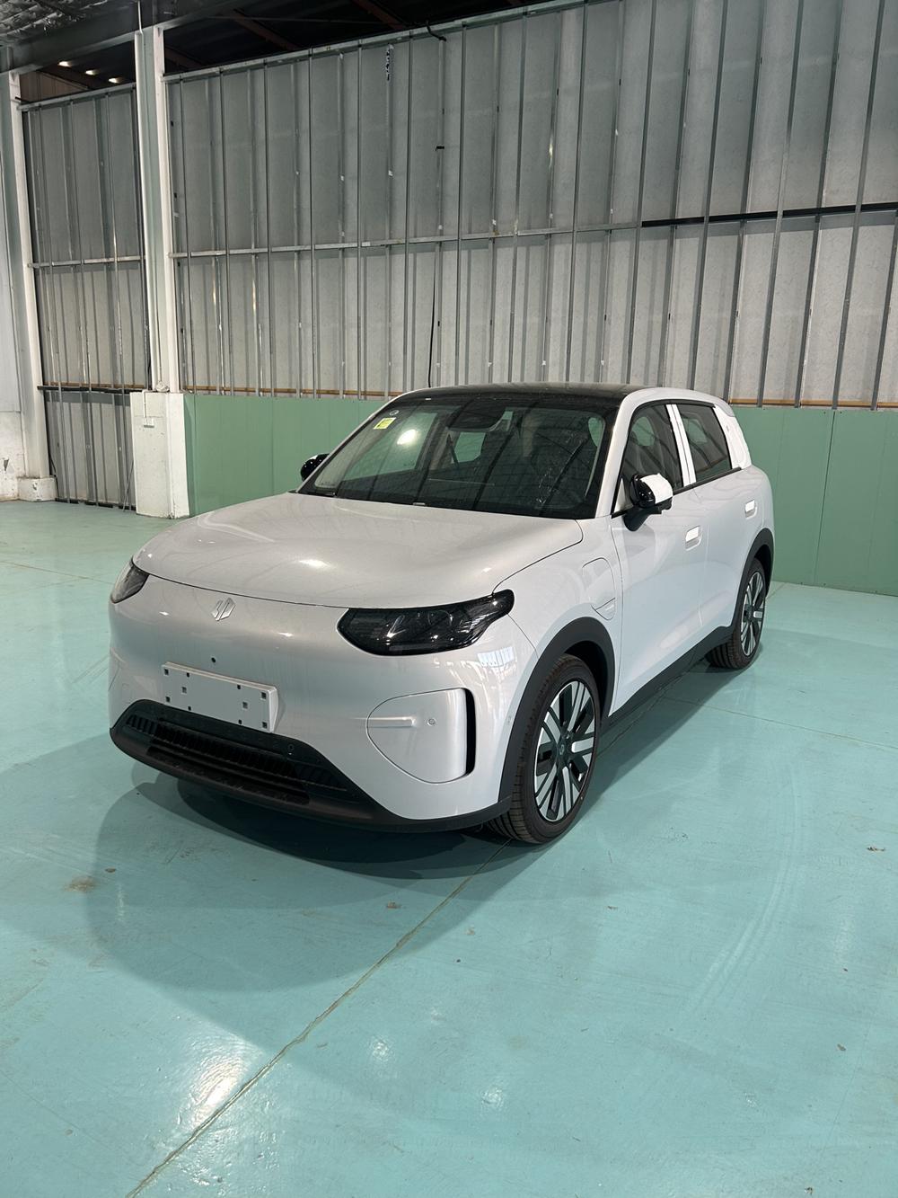 Leapmotor Leapmotor A10