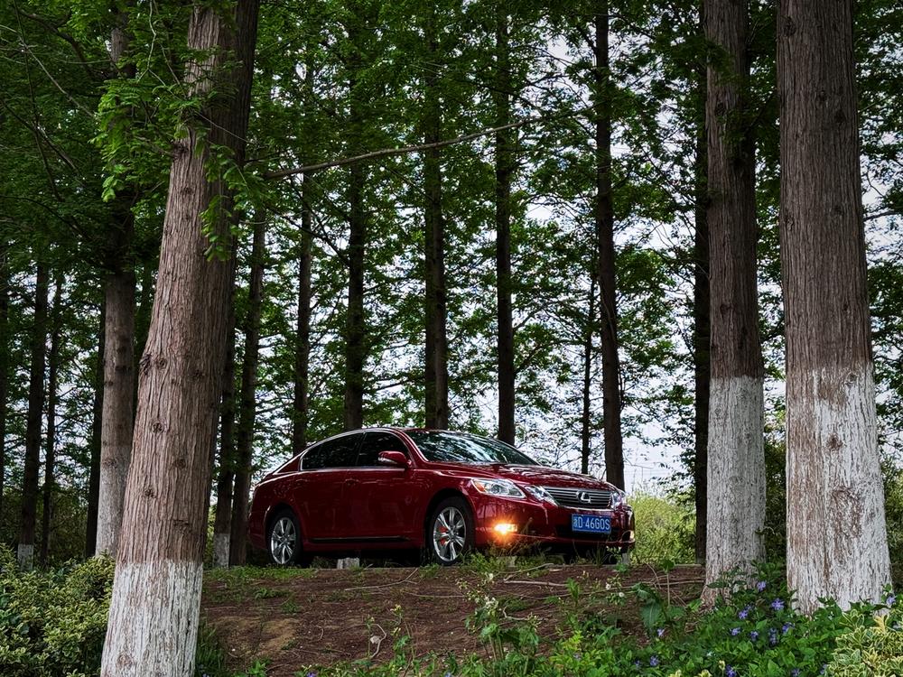 Lexus Lexus GS