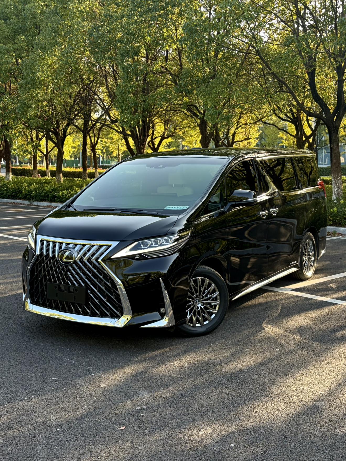 Lexus Lexus LM