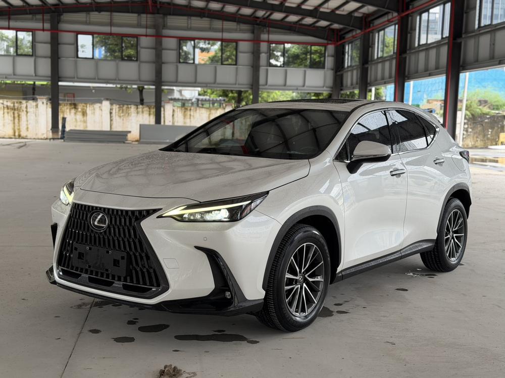 Lexus Lexus NX PHEV