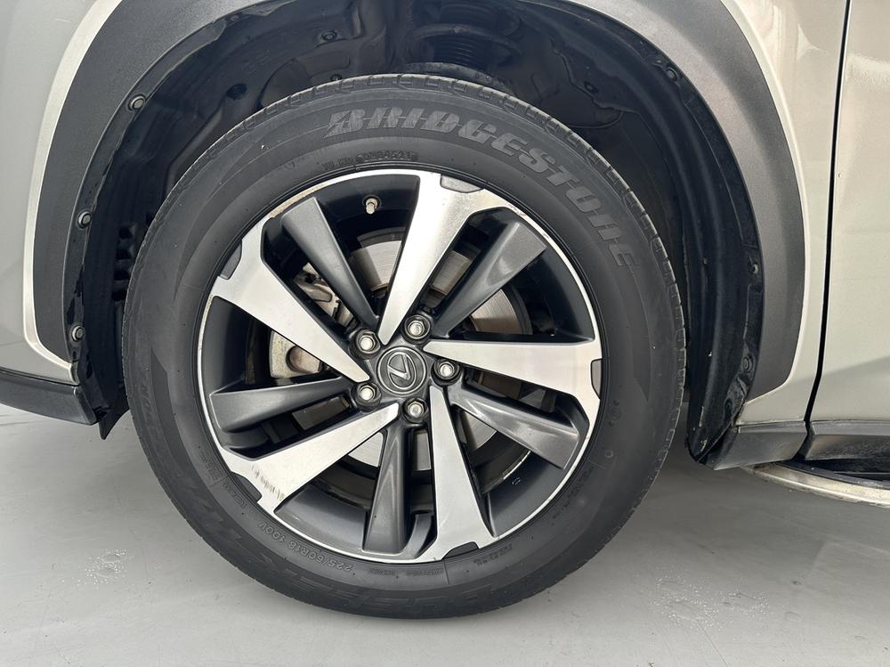 Lexus Lexus NX