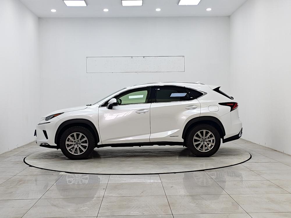 Lexus Lexus NX