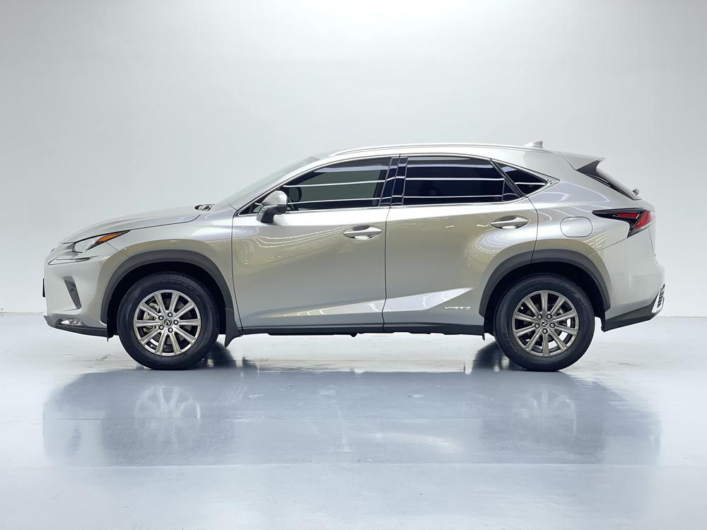 Lexus Lexus NX