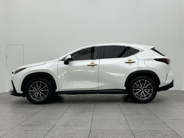 Lexus Lexus NX