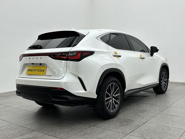 Lexus Lexus NX