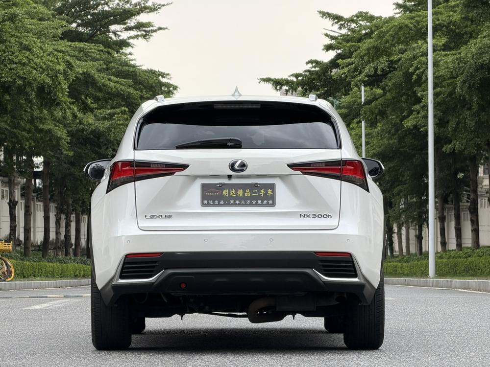 Lexus Lexus NX