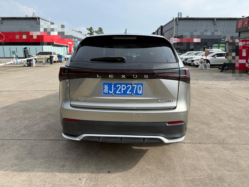 Lexus Lexus NX