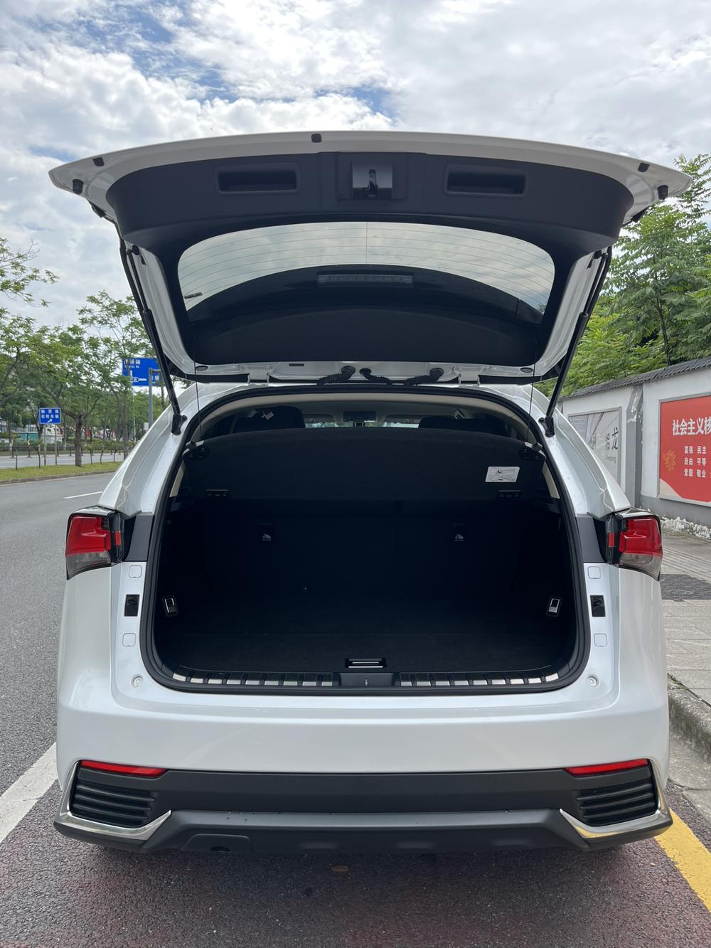 Lexus Lexus NX