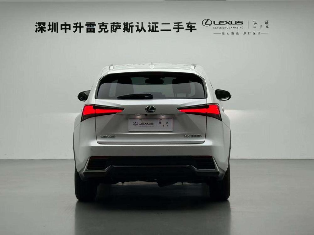Lexus Lexus NX