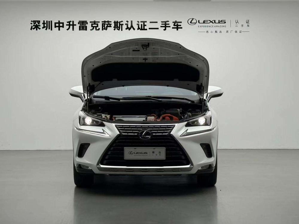 Lexus Lexus NX