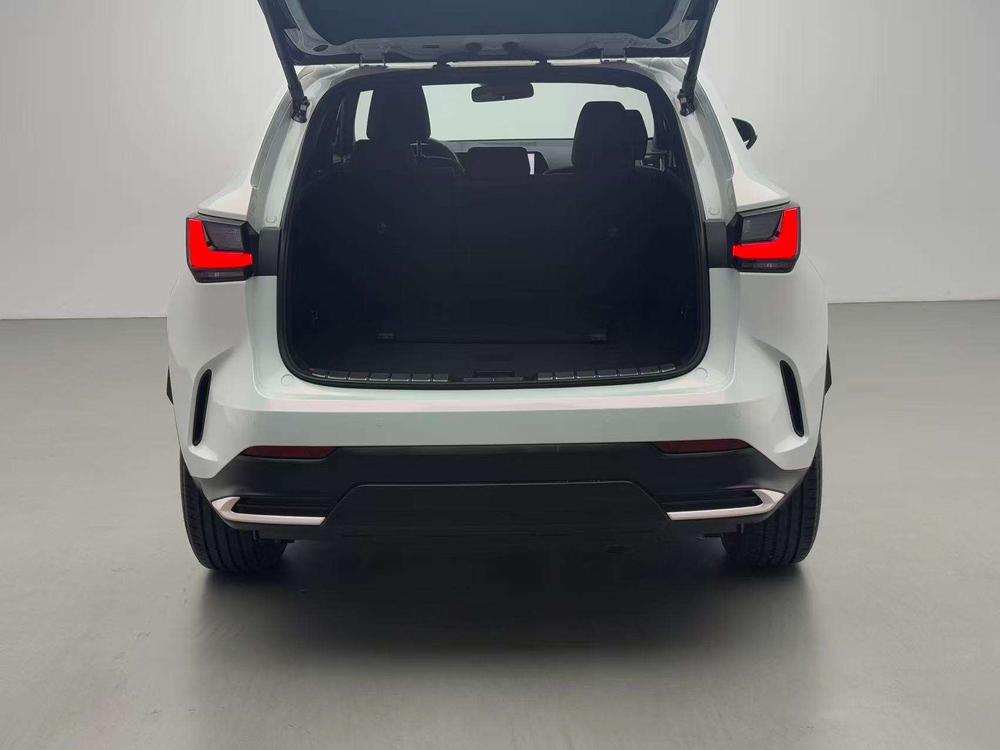 Lexus Lexus NX