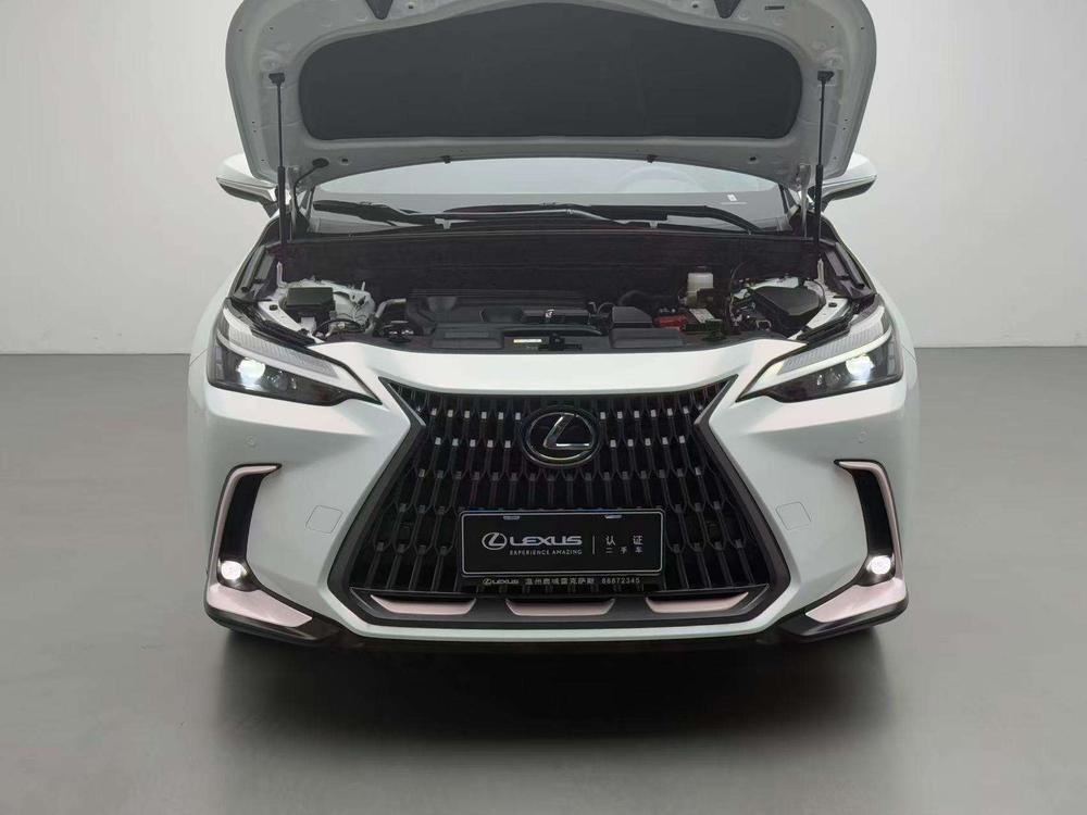 Lexus Lexus NX