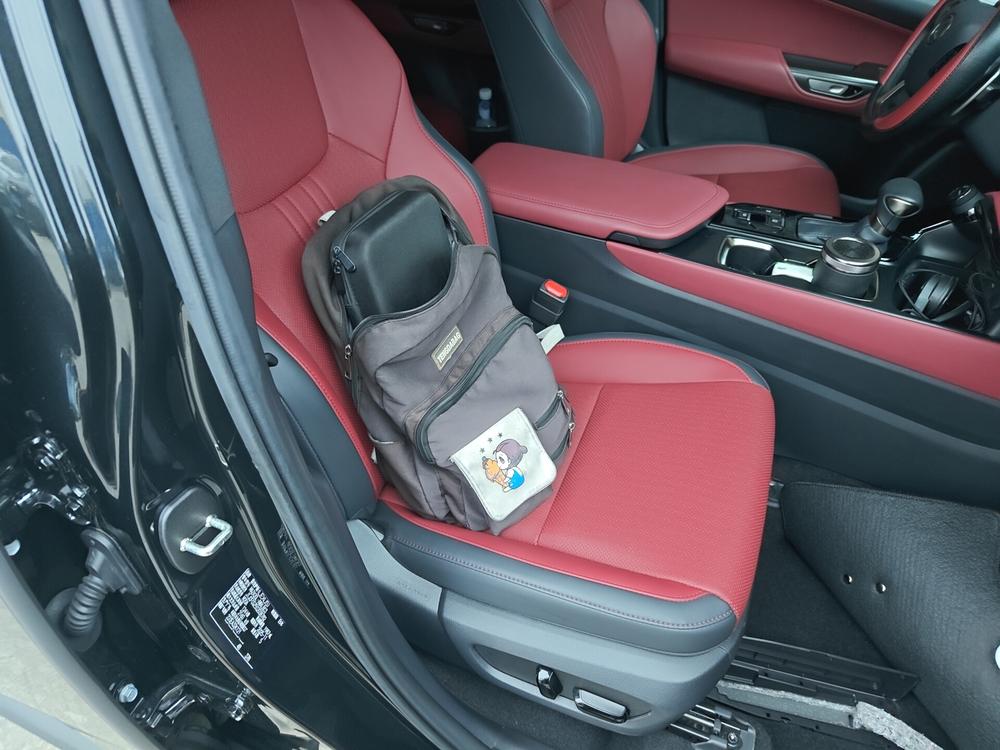 Lexus Lexus NX