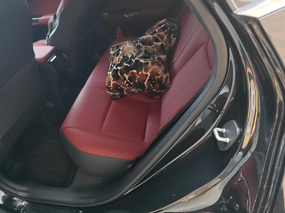 Lexus Lexus NX