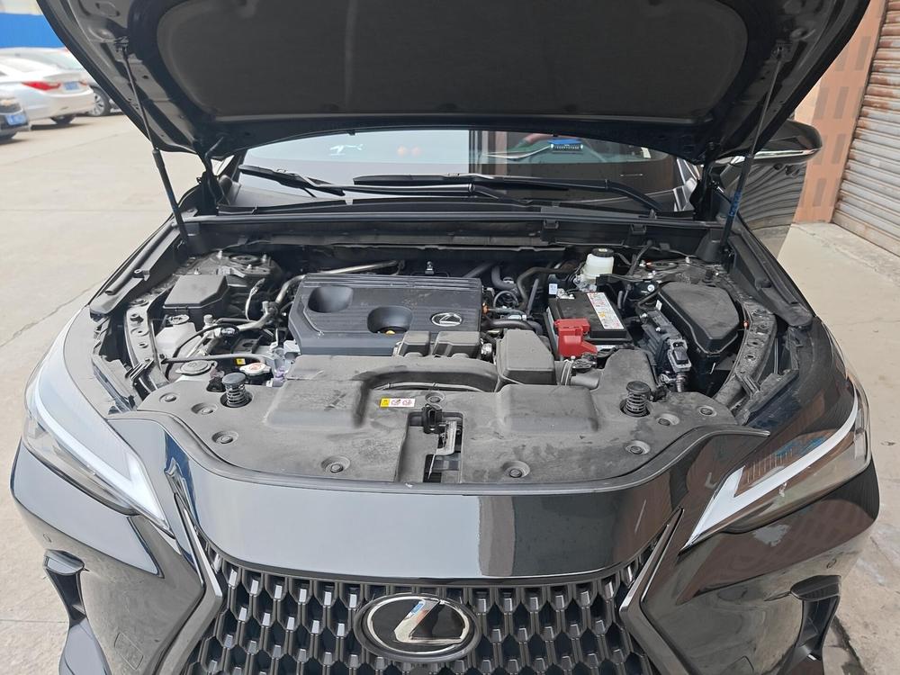 Lexus Lexus NX