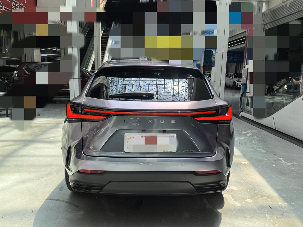 Lexus Lexus NX