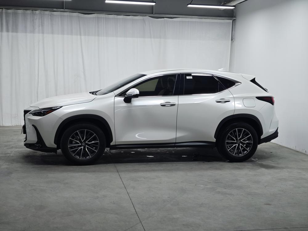 Lexus Lexus NX
