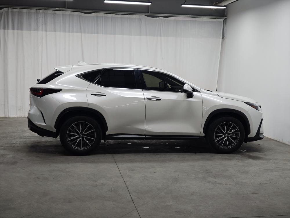 Lexus Lexus NX