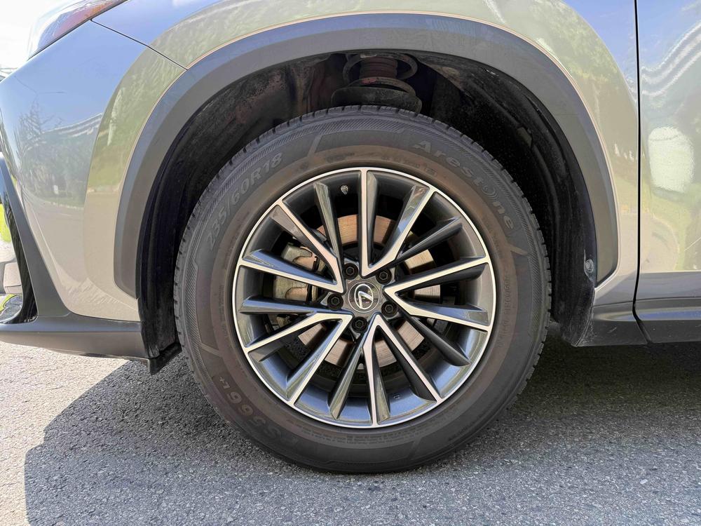 Lexus Lexus NX