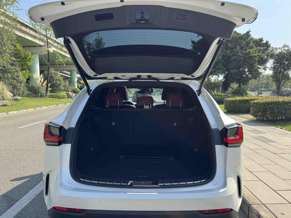 Lexus Lexus NX