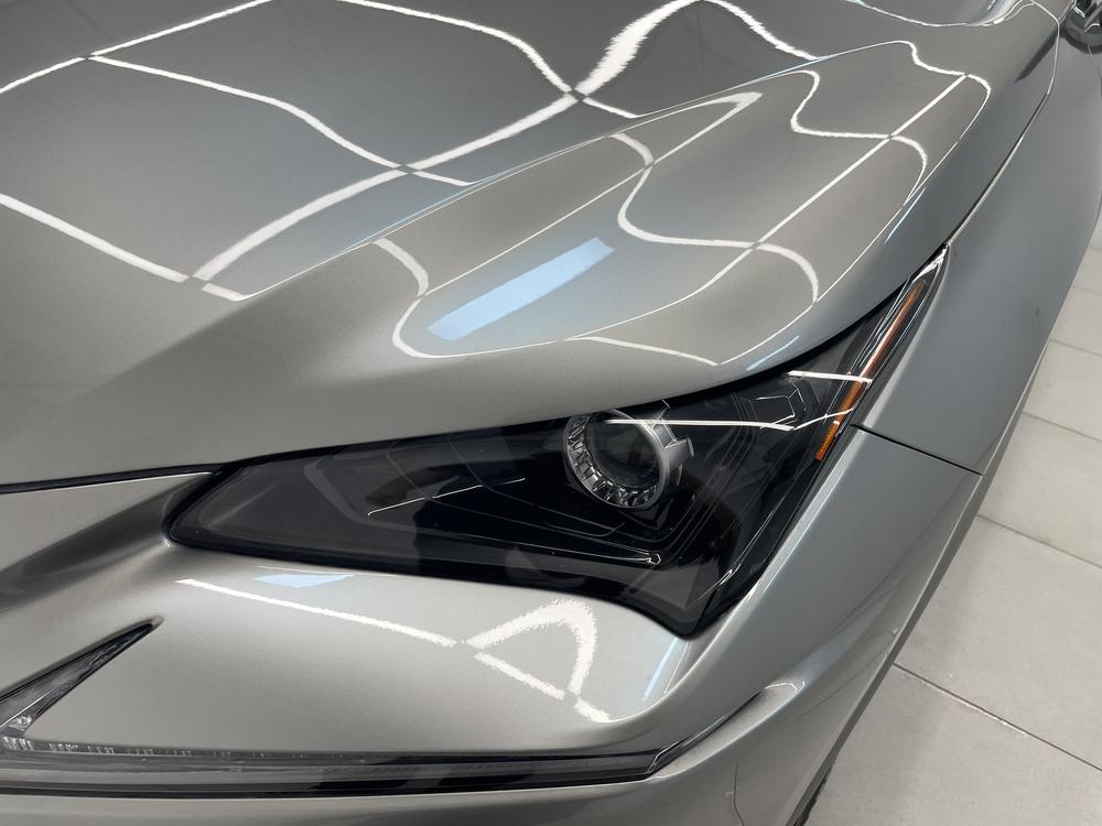 Lexus Lexus NX