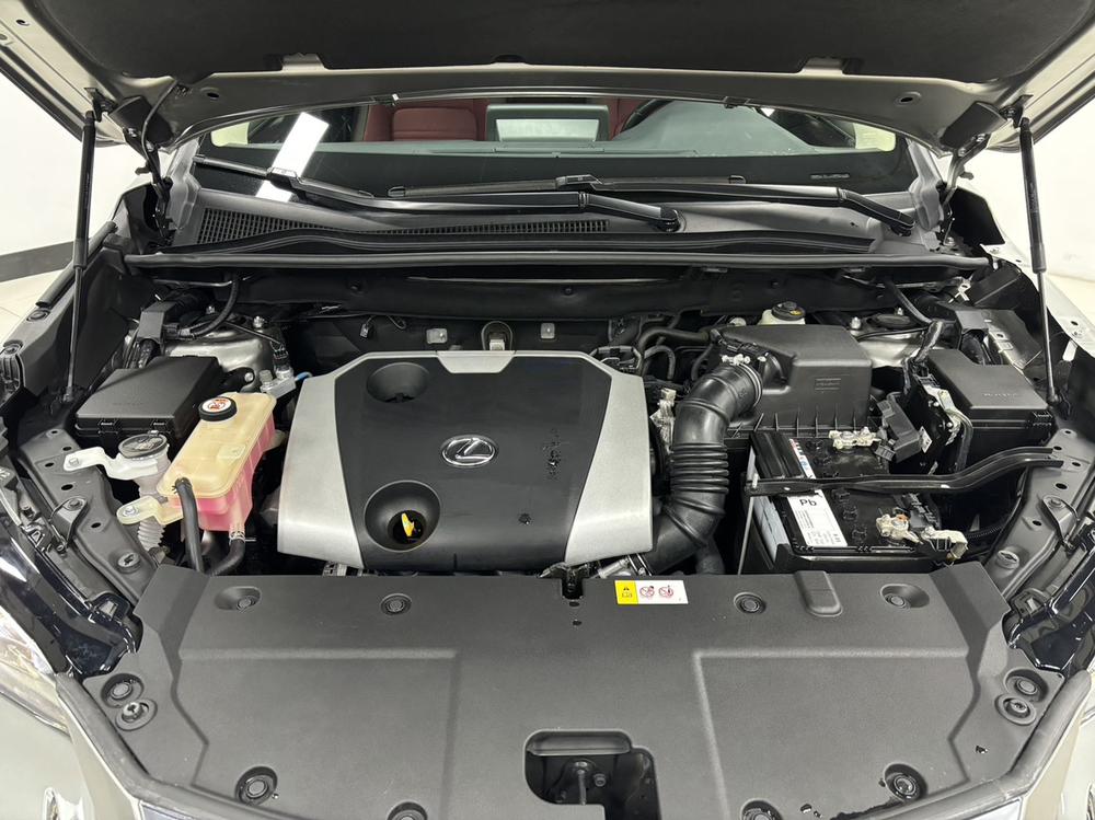 Lexus Lexus NX