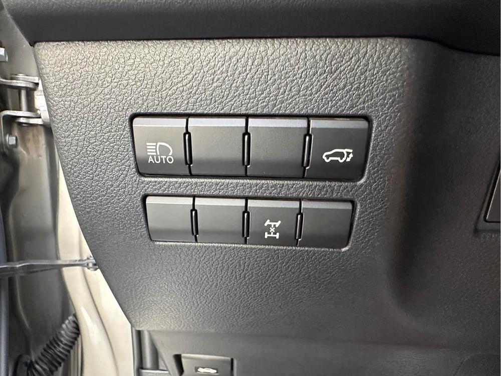 Lexus Lexus NX