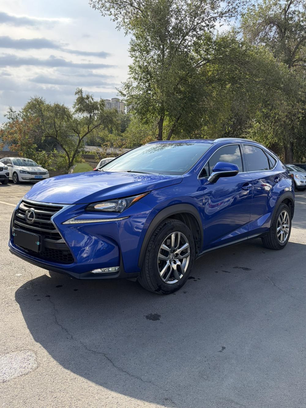 Lexus Lexus NX
