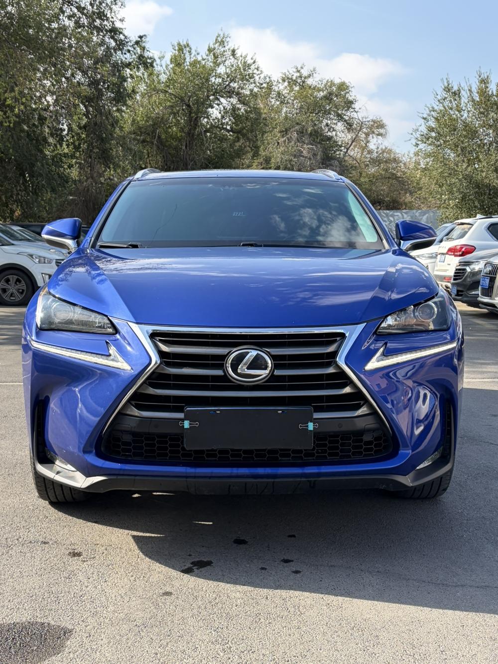 Lexus Lexus NX
