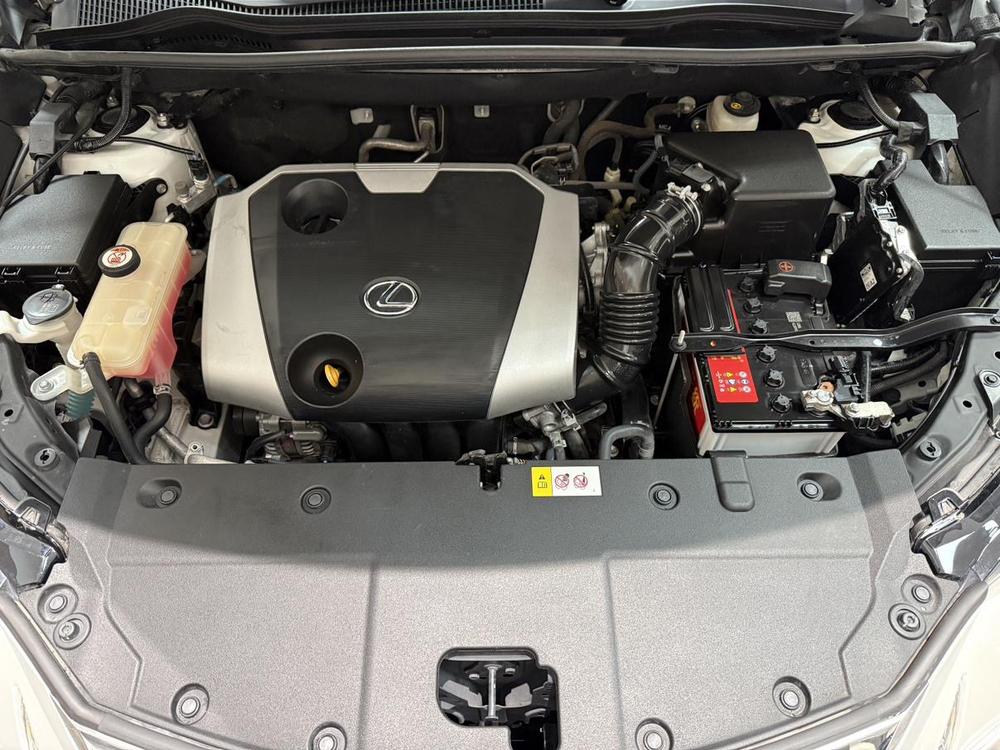 Lexus Lexus NX