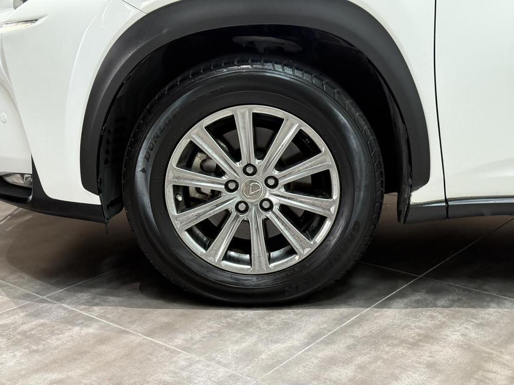 Lexus Lexus NX
