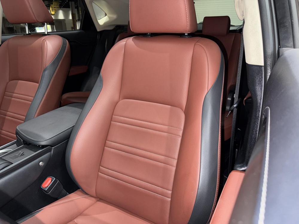 Lexus Lexus NX