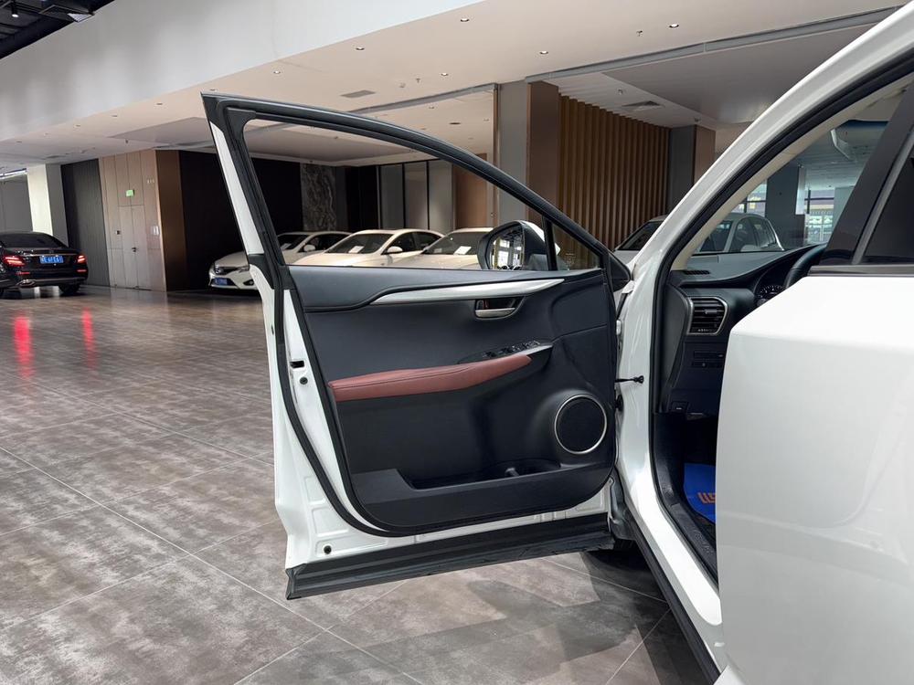 Lexus Lexus NX