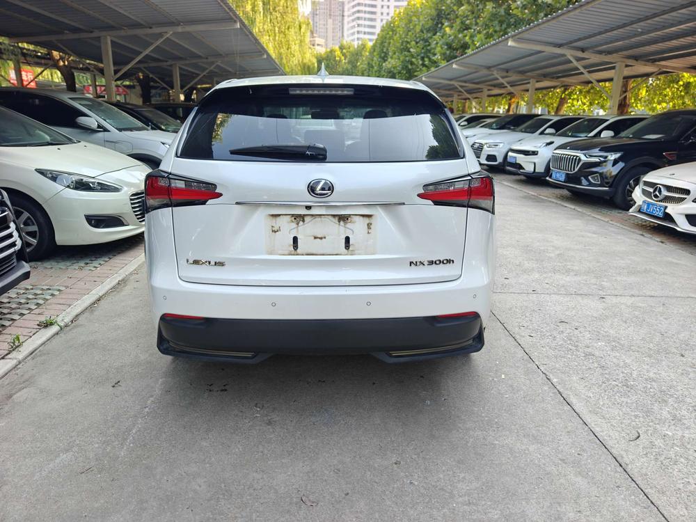 Lexus Lexus NX