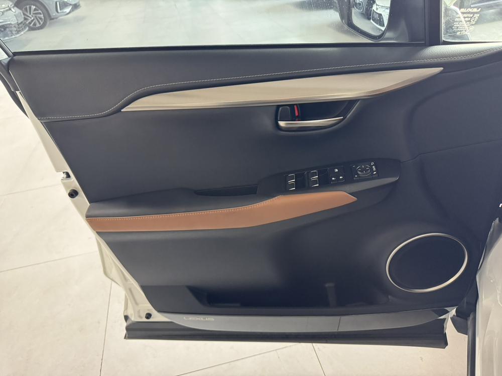 Lexus Lexus NX