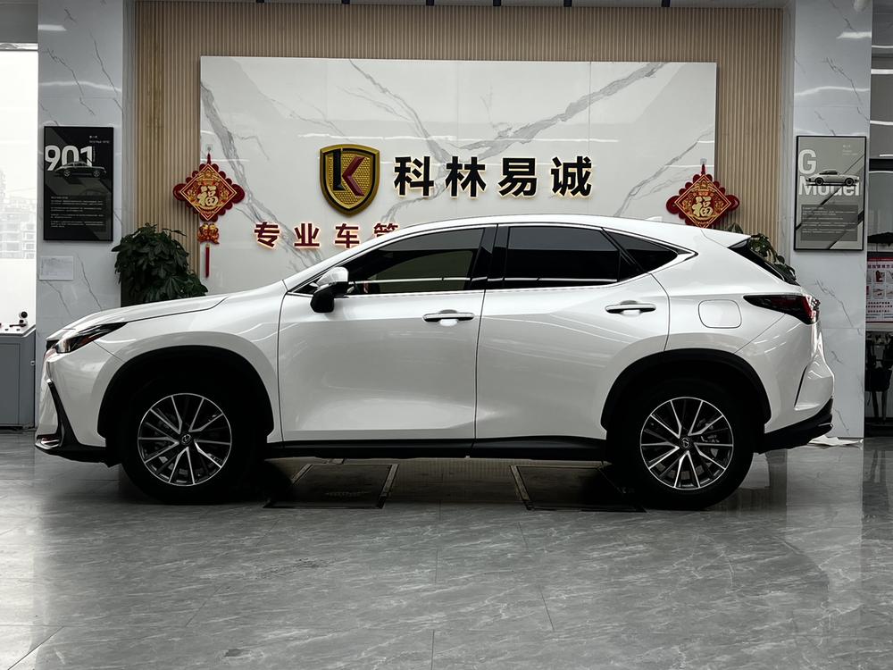 Lexus Lexus NX