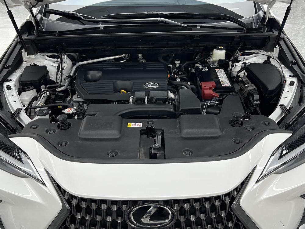 Lexus Lexus NX
