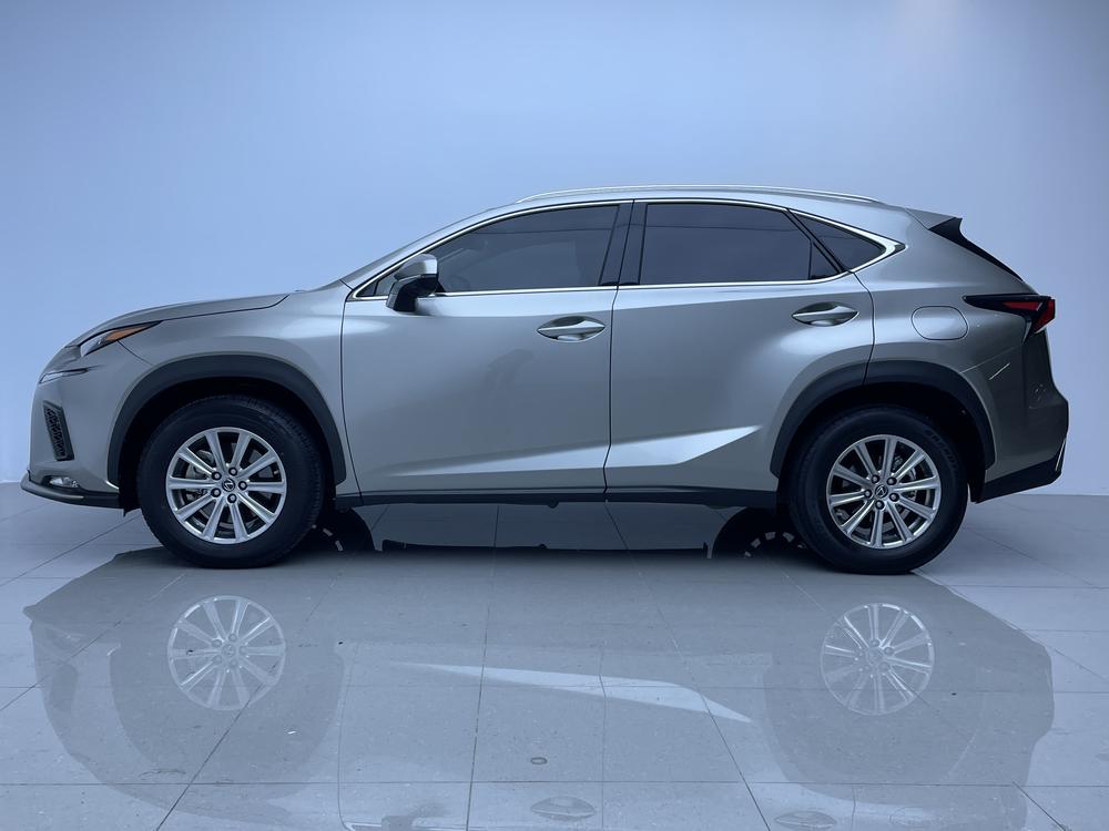 Lexus Lexus NX